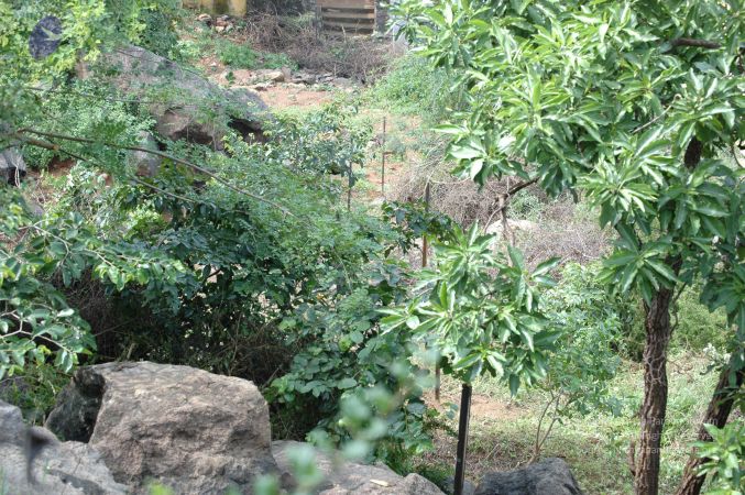 19890520 Photo 2 1M6TKg7OraN2ixYjii1f9WOU6Fnc5ao7K.jpg