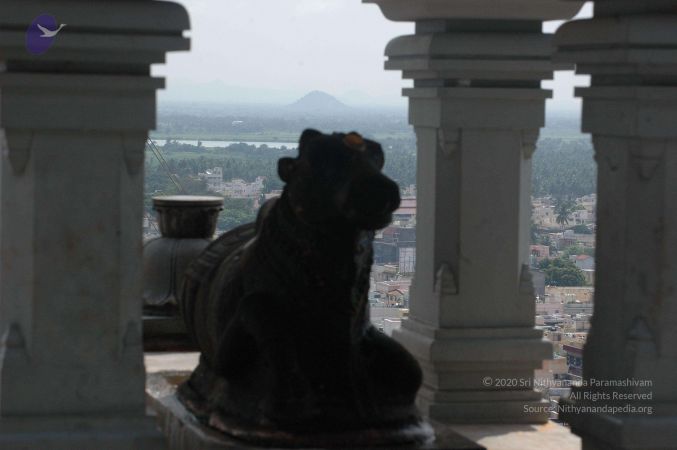 19890520 Photo 37 1oKIU6ii1jZOaVHFGdRO-WX6IpaUdnFdw.jpg