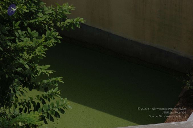 19890520 Photo 43 1V3vgeB2h2SWq7qGY--0OoEAeyP7NDTcC.jpg