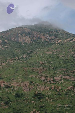 19890520 Photo 49 1ZYs2uObVq70Z1BaLrcdKWb00ThwLbjlB.jpg