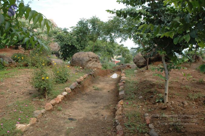 19890520 Photo 58 1AyiMrfvgPifRTAQPBEG0dPe6KSPz5sla.jpg