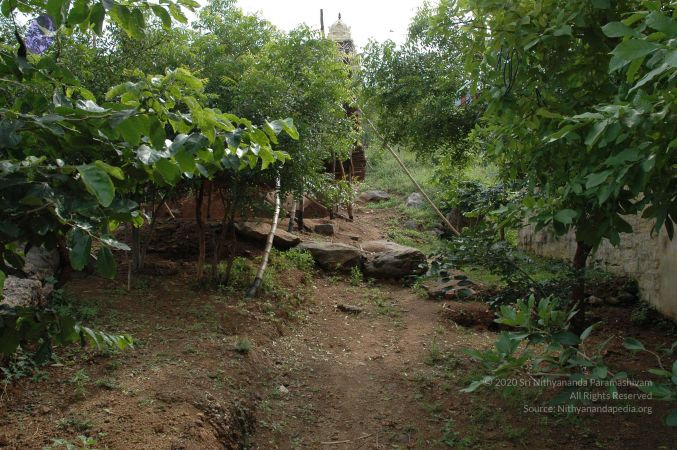 19890520 Photo 59 1ZTBrUI-0Lw0n2I1GPEWzRy4k-MFYEH0g.jpg