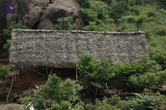 19890520 Photo 65 1jsqs5cKKVnB9tUgeS7 mQ20PINOlqHOd.jpg