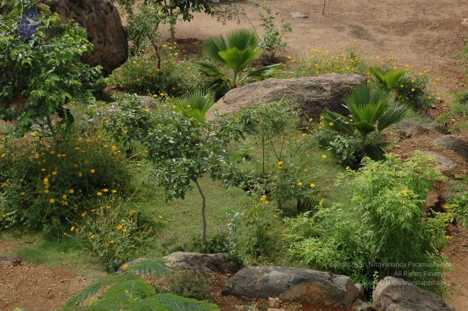 19890520 Photo 66 1XFzX utyhc0iBzEle4ngkVyHSm5aZ-Jq.jpg