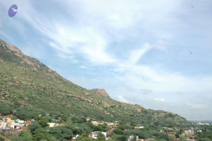 19890520 Photo 70 1nfkHEkK9b7dtVx2l6V2lgdOyVbkWG3hy.jpg