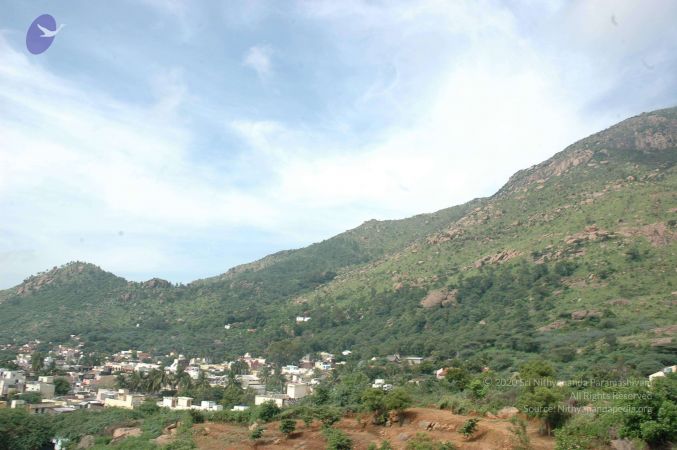 19890520 Photo 72 15nM4UYtJTrkfZxyvfWExmrUURSur4wjp.jpg