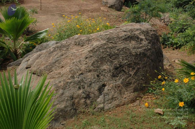 19890520 Photo 85 1JDG0W 5-CVMfjmrC8qiPyOI itbxA6M0.jpg