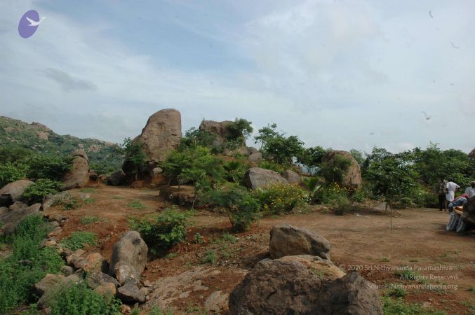 19890520 Photo 87 15TXYDN7Miuq1bXIf63W RgequeRB7MZV.jpg