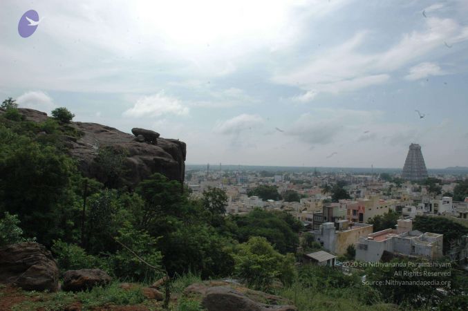 19890520 Photo 88 1aHaZObsfeXOvs6LKCLNzwIHEc6Yjjuu0.jpg