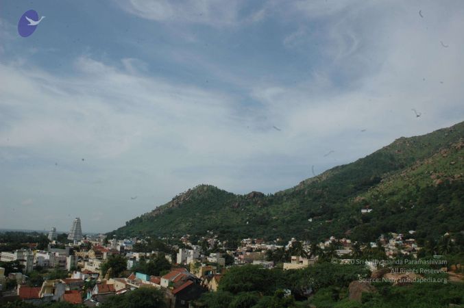 19890520 Photo 90 1rzq-KpE0OcBtui2HgRQfJ4Kau6yTzMU6.jpg