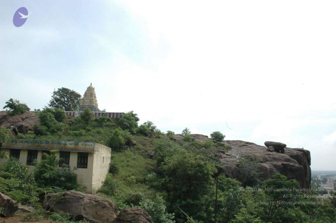 19890520 Photo 96 10AYma2TrXocWG8AG1siQvMvrklWDTT32.jpg