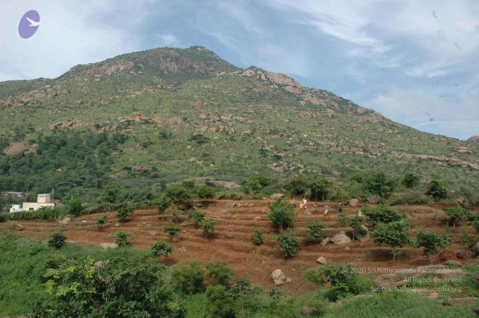 19890520 Photo 97 10FTg4fFgiRAO4mlY9p1CNEehHqUweTcR.jpg