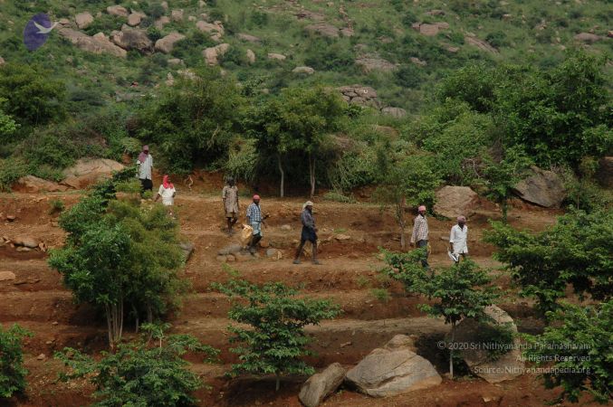 19890520 Photo 98 1PGgn mNHroQohoG4VF-n4x0udJj0rAyJ.jpg