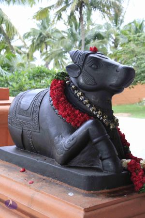 1 c MG 1263 CMP WM.jpg