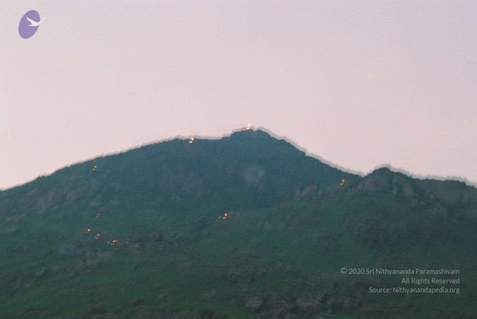 20020101 Photo 241 190wyJzMphU ZR09BeGNXZ6a8cdGK2DBU.jpg