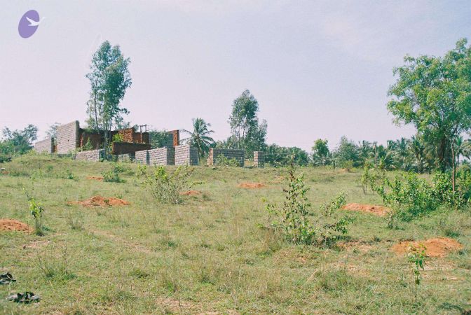 20020101 Photo 56 1VhMqTpPRMoqSRDFHqJBMD4yNz4qqMfaK.jpg