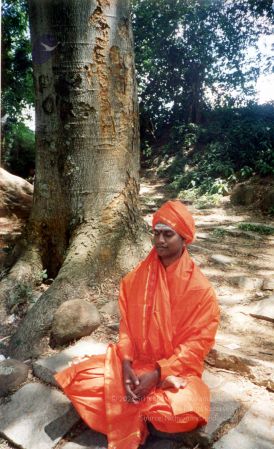 2002 PA083 PA-083-159001.jpg