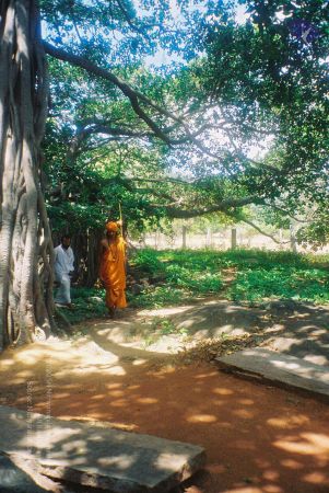 20030101 Photo 35 1 W04aS jROtHqlsLRsL23MLU4Y07gO5I.jpg