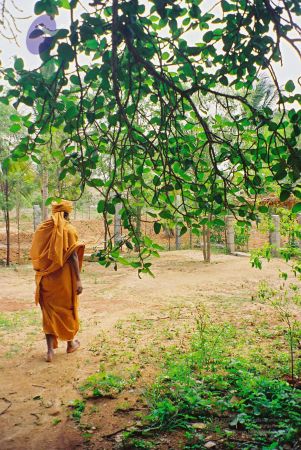 20030101 Photo 42 18X9BPoq3h0oz83GWOMmU3JGVam3RpD4A.jpg