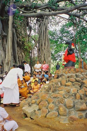 20030101 Photo 49 1Of8gz7PBuxbOSKoKWnf08S0sfQftM6MJ.jpg