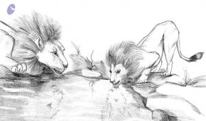 20030801 Photo 1 1XuDcV1YDe-LAlYg3hF1hRbnoAelx-diC.jpg