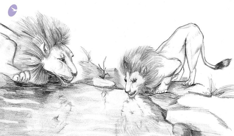 20030801 Photo 1 1XuDcV1YDe-LAlYg3hF1hRbnoAelx-diC.jpg