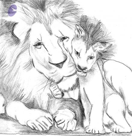 20030801 Photo 3 1jQZr4duiJ2AqX6vU3EVEMMHa1qmKymuQ.jpg