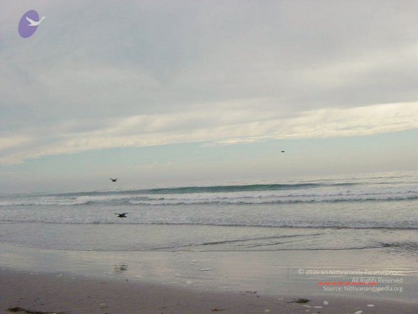 20030809 Photo 16 1UQNyPl7kkU62kvwmvCBVebMEffBLdeX0.jpg