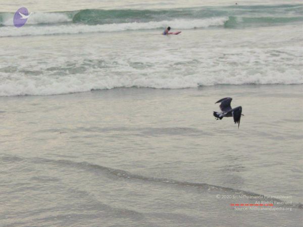 20030809 Photo 24 15uPamgyGdixmmrY41P0scB7qrm1q0tjv.jpg