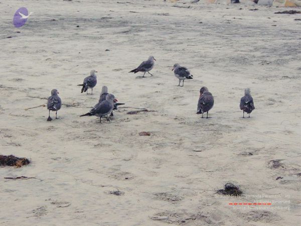 20030809 Photo 34 1fZv6hl91NAqC8ilNzwKB-zm-Au-QMTF7.jpg