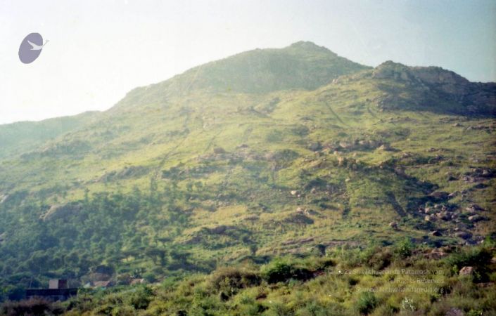 2003 2003PA-458-0610101.jpg