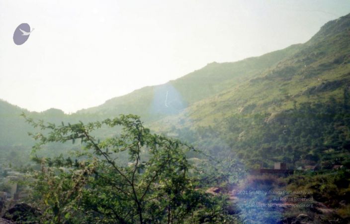 2003 2003PA-458-0630101.jpg