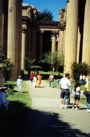 2003 PA-239PA-239-0060100.jpg