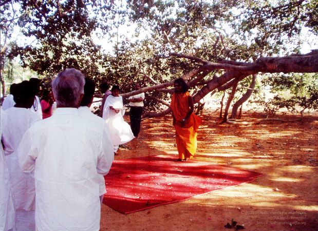 2003 PA-449-34001.jpg