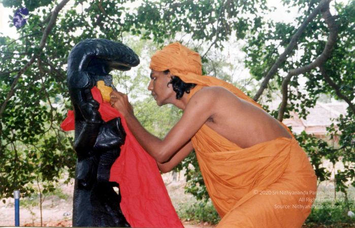 2003 PA-77 016 CMP WM0100.jpg