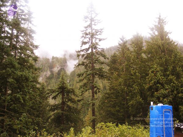 20040101 Photo 152 13lYbyqwvzdiuwSFzfOfEIVFVifEOlMMN.jpg