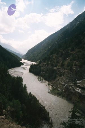 20040616 gkvale-1AA001A CMP WM.jpg