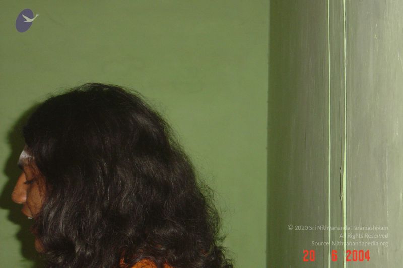 File:20040620 42 DSC04688 CMP WM.jpg