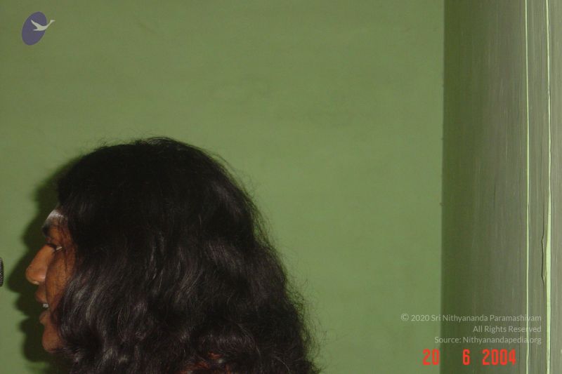 File:20040620 42 DSC04689 CMP WM.jpg