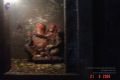 Thumbnail for version as of 10:46, 1 March 2021