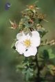 Thumbnail for version as of 11:25, 2 March 2021