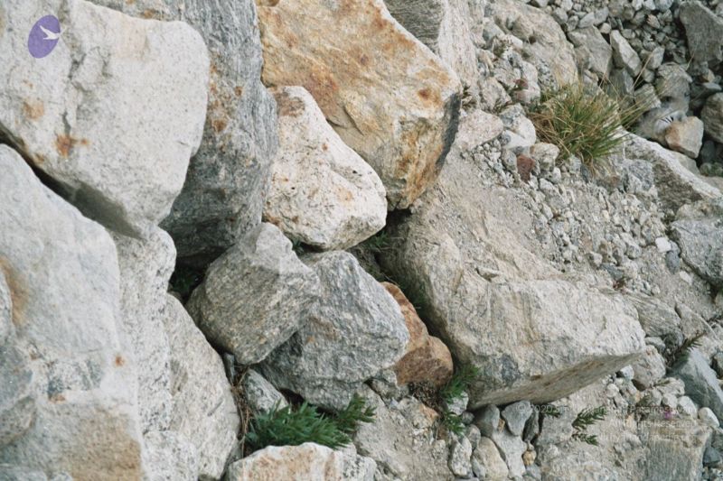 File:200406xx 7 gkvale-1AA012A CMP WM.jpg