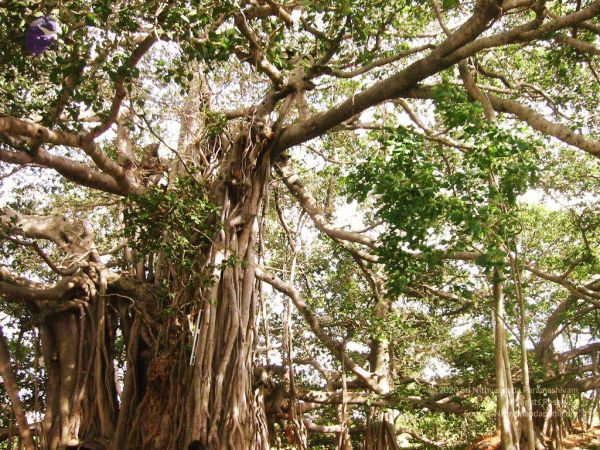 20040702 Photo 140 1Tzzh8ys8BDnP4S w5uhSSCtGBXPyABrT.jpg