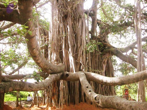 20040702 Photo 14 1D7QUtD LMaVrsmnFvXO j4AeGgGY062E.jpg