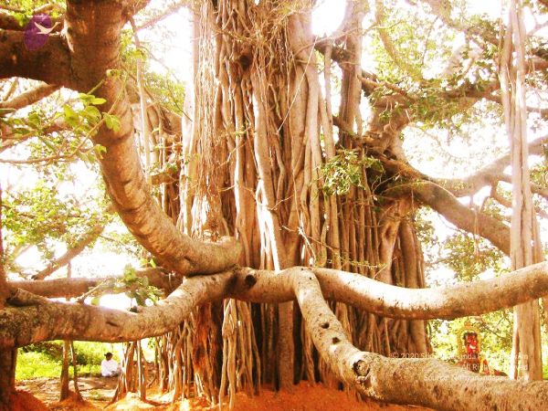 20040702 Photo 14 1D7QUtD LMaVrsmnFvXO j4AeGgGY062E watermarked.jpg