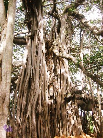 20040702 Photo 184 1pK9i0os1iKIMn6WHoTm2DyPCTStENHsB.jpg