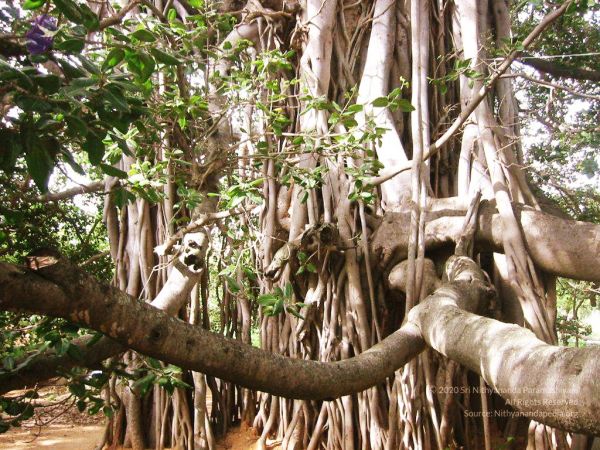 20040702 Photo 205 1Dt0nYops 5qntmYrxm0Mnw-dgbNcGu32.jpg