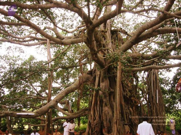 20040702 Photo 34 12dQwhCq8Q8OUvgTy0hz0D-5sRmCqUVZU.jpg