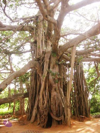 20040702 Photo 58 1NXS-U7GHfvLSoRY5Hb j1Q-XoLPNxb34.jpg