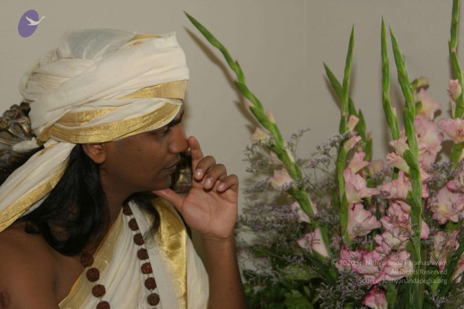 20040824 Photo 111 1kTho1qARaZ1mJtVU7UGiznOjS7u7b1qd.jpg